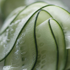 Pepino