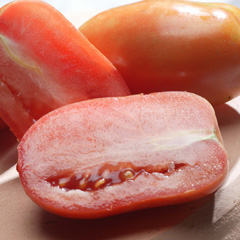 Tomate
